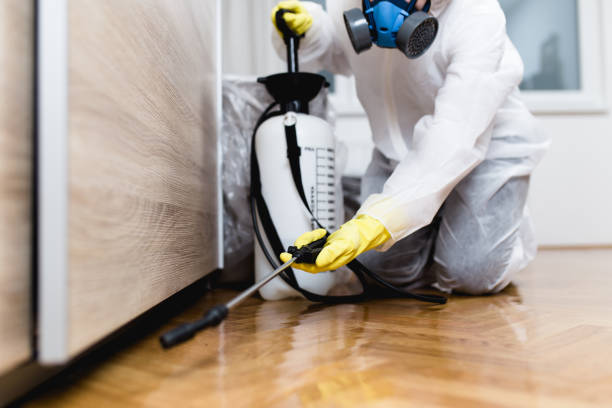 Flea Control Services in Leland, MS